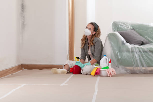 Reliable Mold Cleanup contractor in Greenville, MI by Cheap Mold Removal